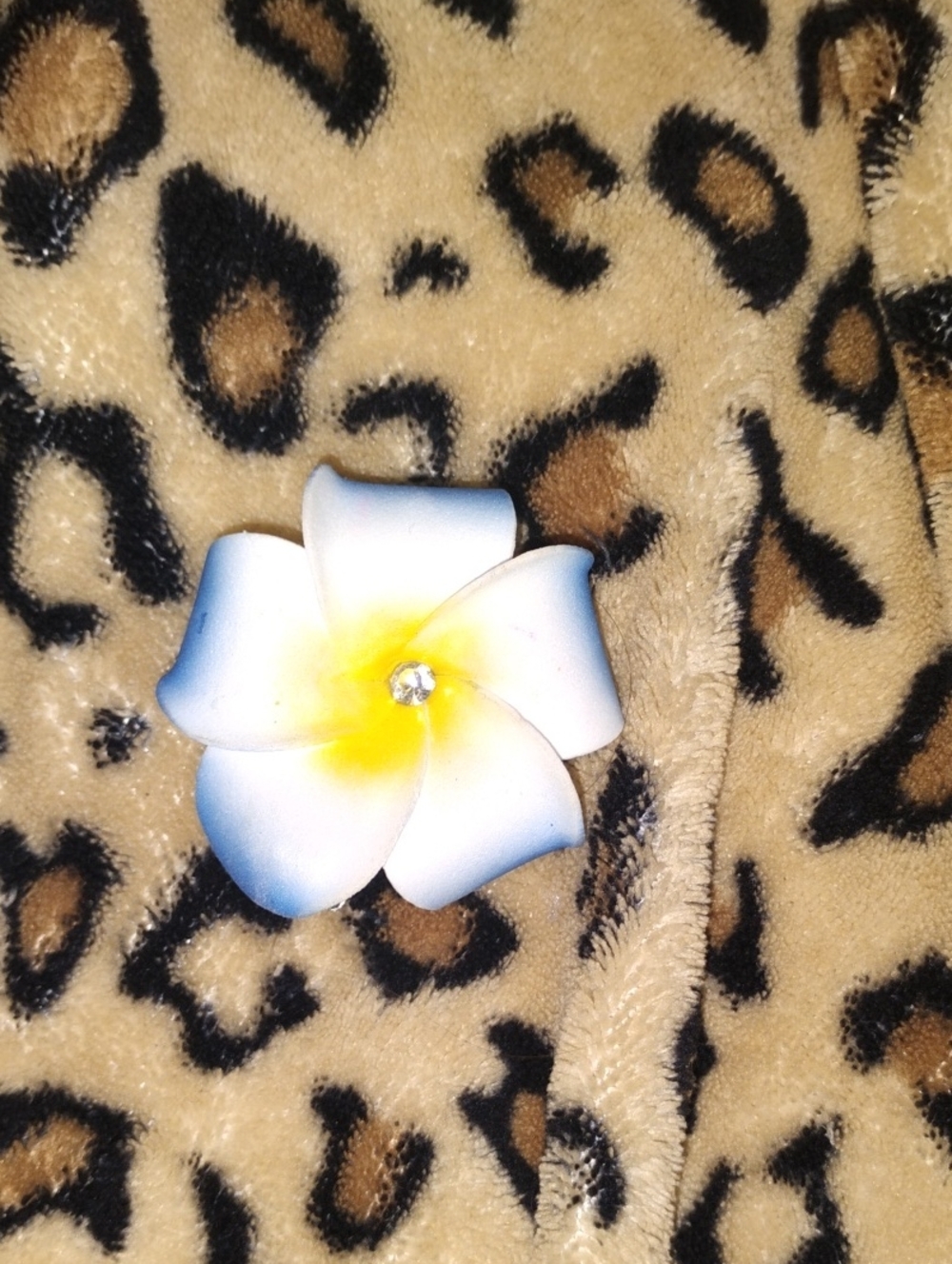 White and Blue Plumeria Flower Hair Clip with Yellow Center